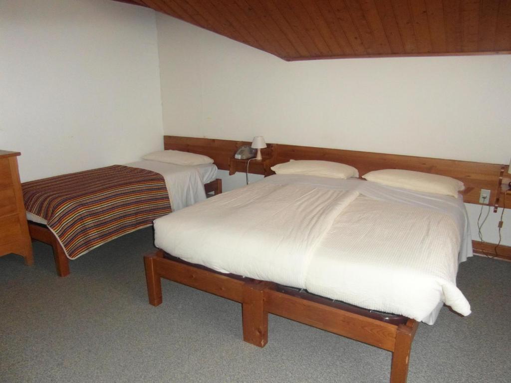 Hotel Villa Tedaldi Gressoney-Saint-Jean Buitenkant foto